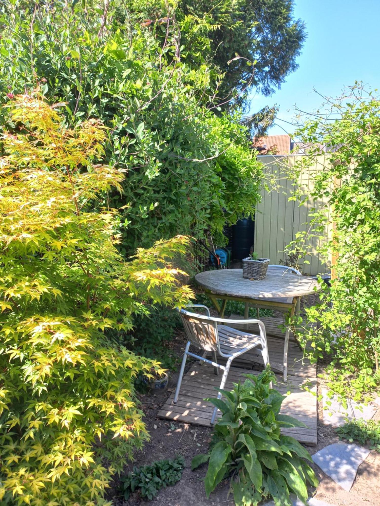 On-Ge-WoonAd Hasselt  Villa Exteriör bild